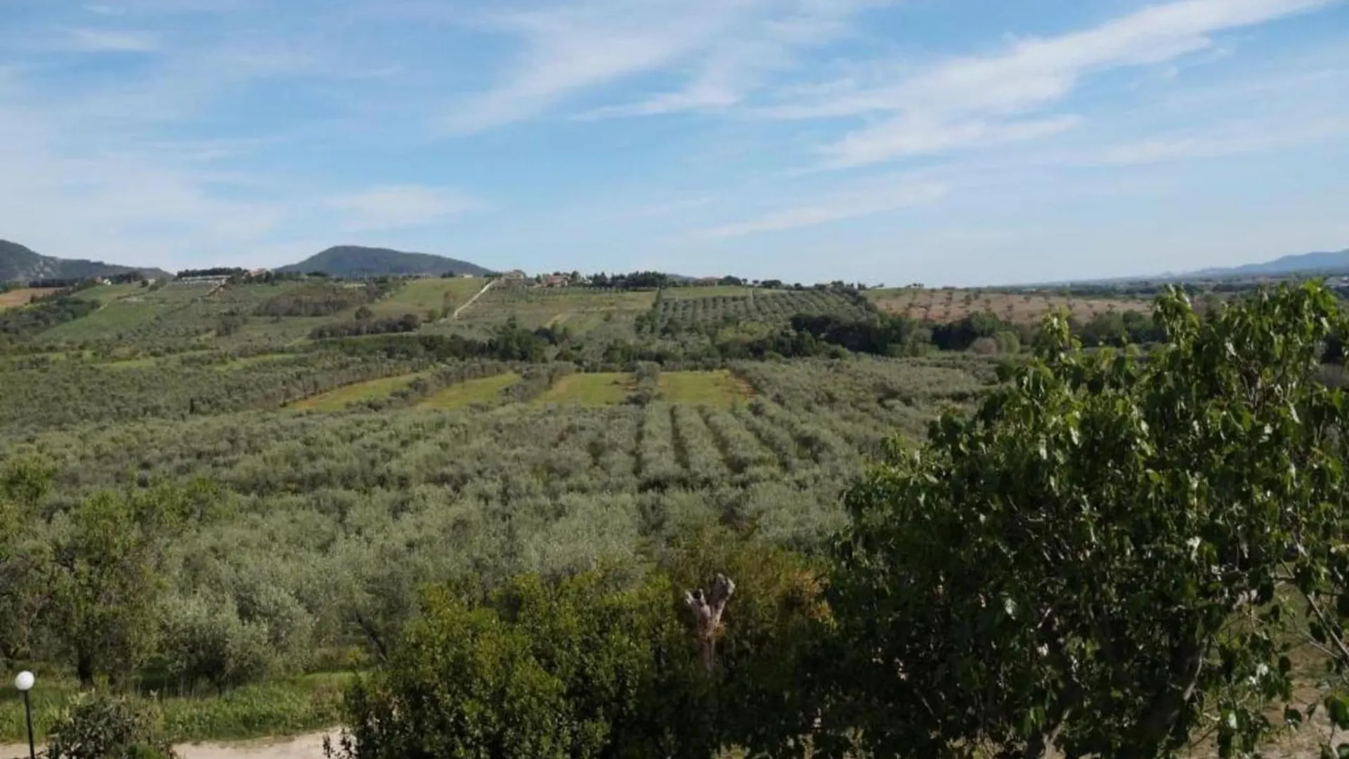 Apartament Property In San Vincenzo